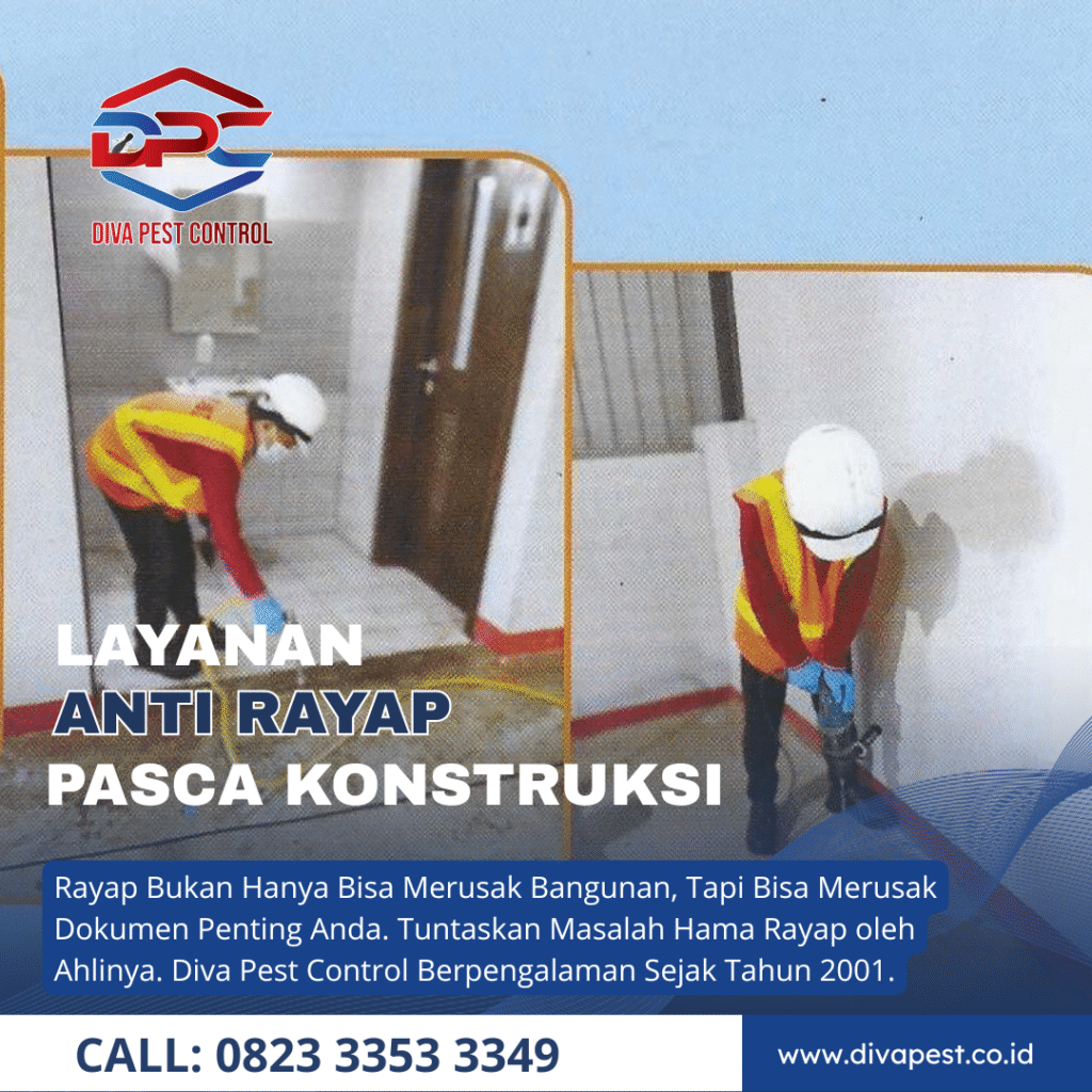 Jasa Anti Rayap di Surabaya Sistem Injeksi dan Pipanisasi
