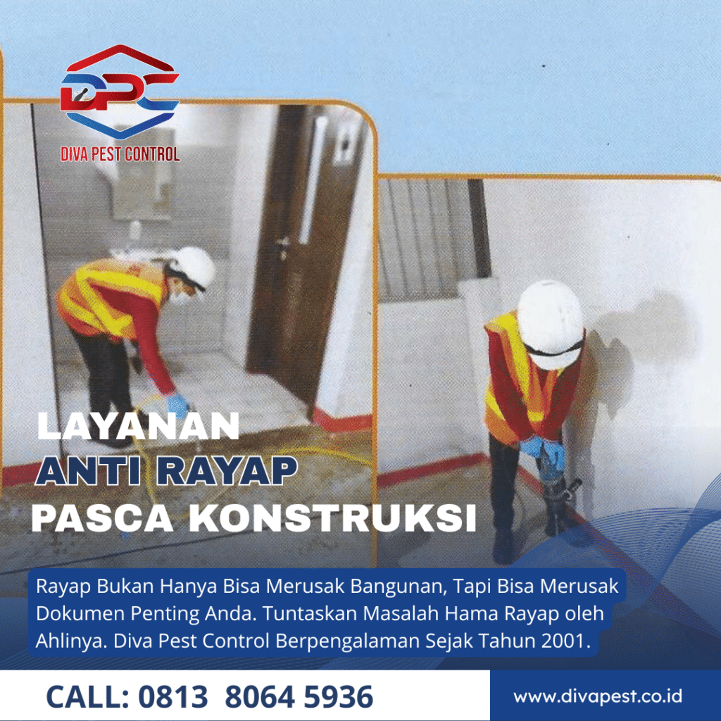 Jasa Anti Rayap di Malang Metode Pipanisasi atau Retikulasi