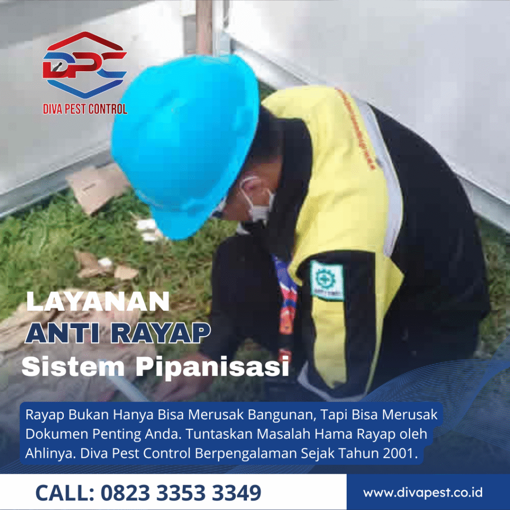 Jasa Anti Rayap di Surabaya Sistem Injeksi dan Pipanisasi