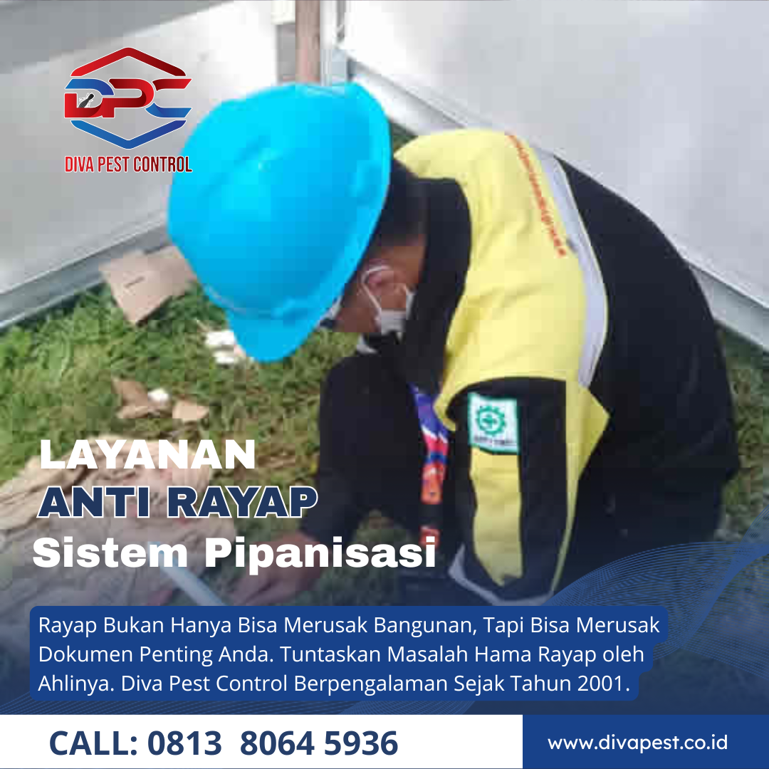 Jasa Anti Rayap di Jakarta Barat Sistem Pipanisasi Hasil Efektif